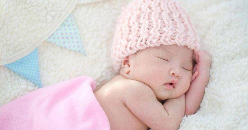 Freepik/studioredcup